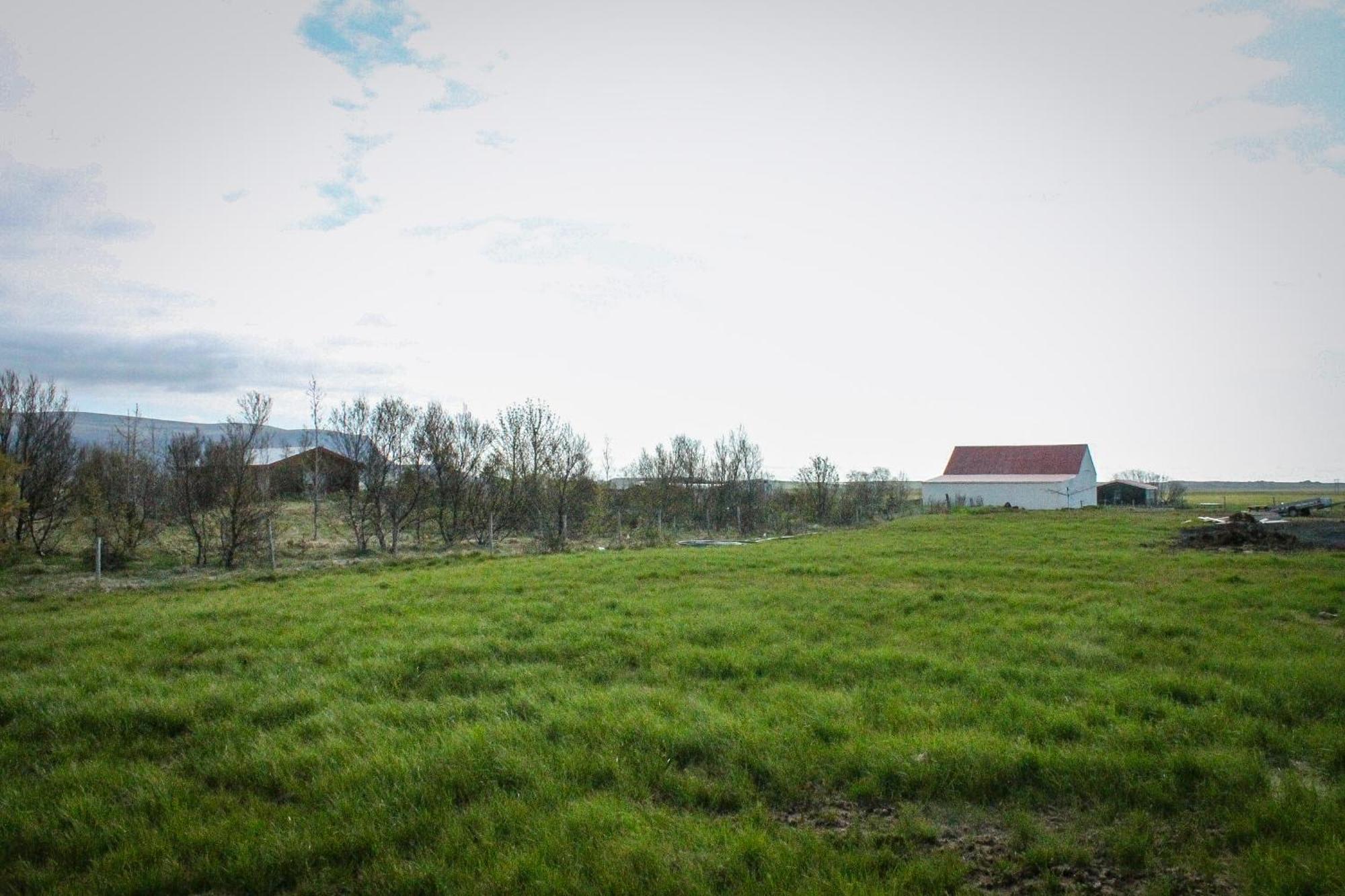 Sun-Cottage South Iceland Olfus 외부 사진